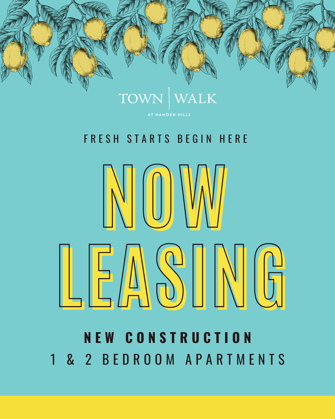 Graphic advertising new construction one and two bedroom apartments for rent at Townwalk at Hamden Hills